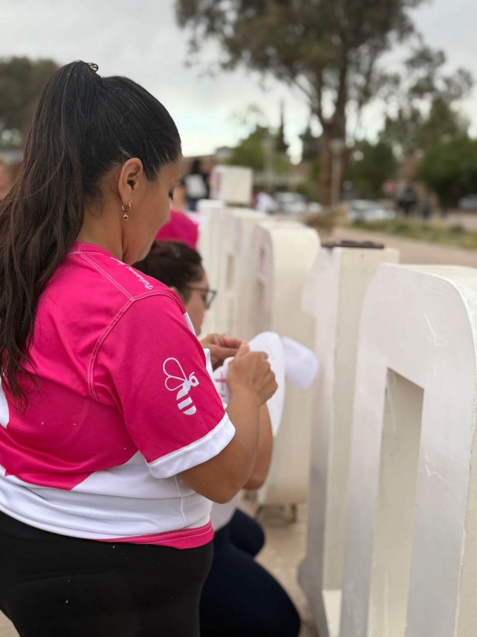 Octubre Rosa Añelo