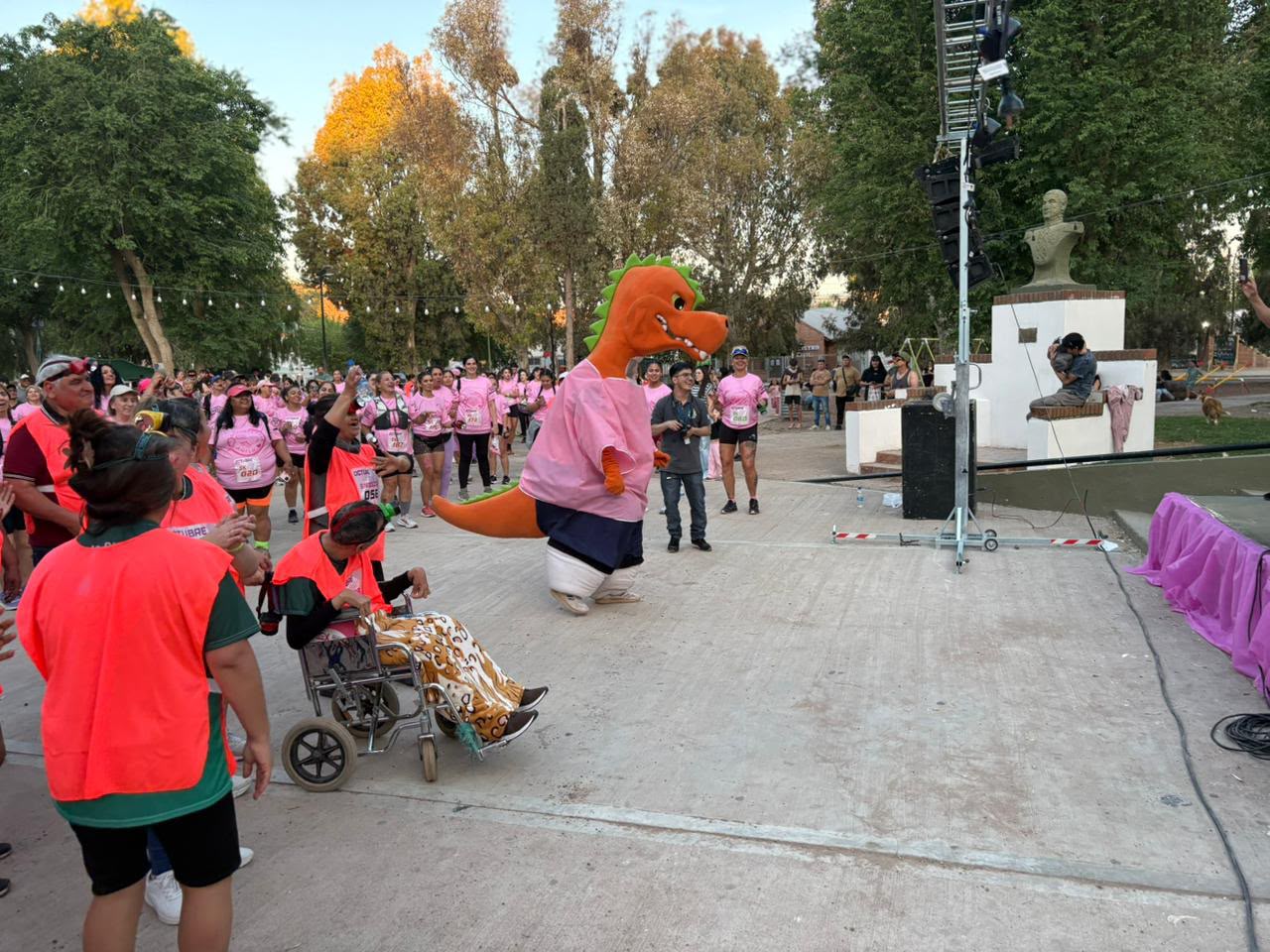 Octubre Rosa Añelo